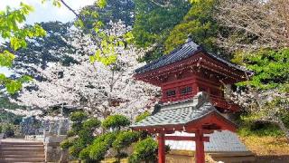 常在山 藻原寺の参拝記録(支那虎さん)