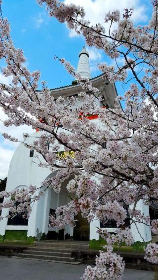 常在山 藻原寺の参拝記録(支那虎さん)