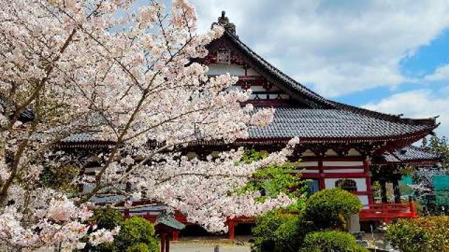 千葉県茂原市茂原1201 常在山 藻原寺の写真2