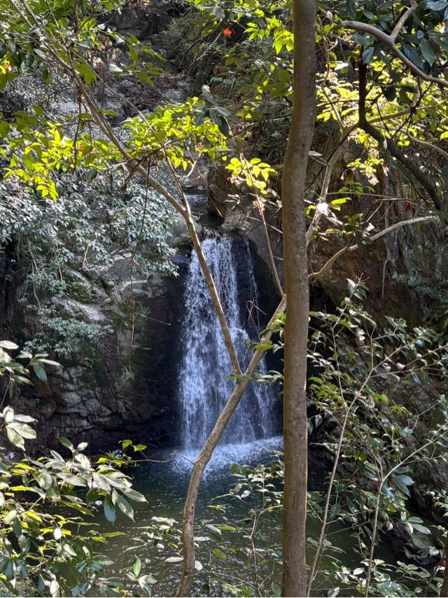 厳島神社 意賀美荒神社(意賀美神社)の参拝記録1