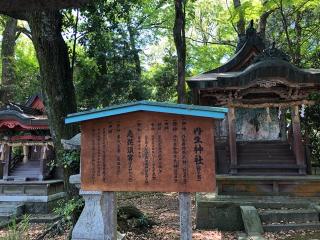 丹生神社(野々宮、日根神社境内社)の参拝記録(KUMIKOさん)