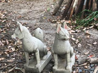 大宮稲荷神社(奈加美神社境内末社)の参拝記録(mmかずやmmさん)