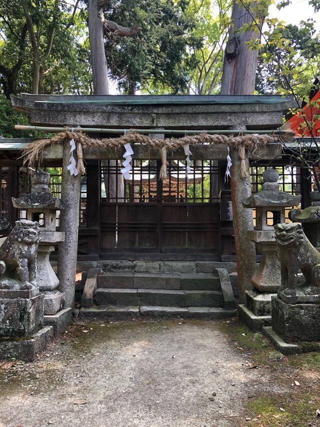 大阪府泉佐野市日根野631-1 新道宮(日根神社)の写真1