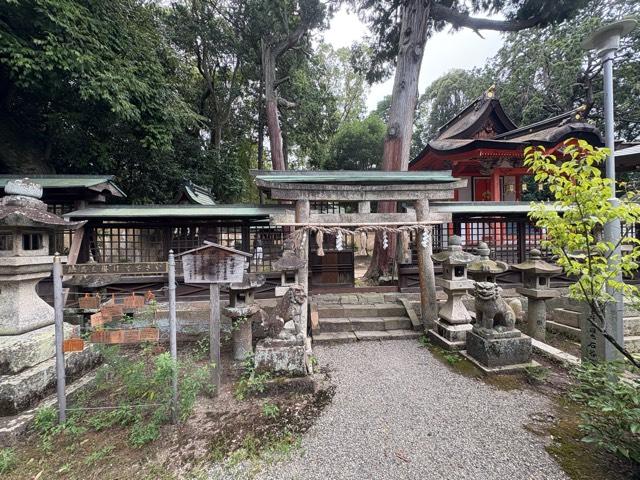 大阪府泉佐野市日根野631-1 新道宮(日根神社境内社)の写真2