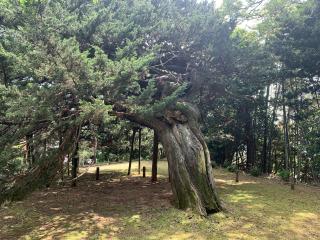 恩徳寺の参拝記録(やんちゃさん)