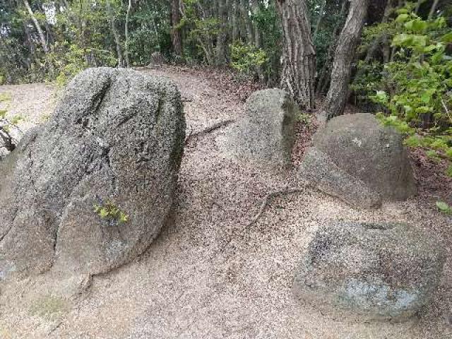 奈良県天理市石上町 八龍王八箇石 (｢大国見山｣山頂神祠)の写真2