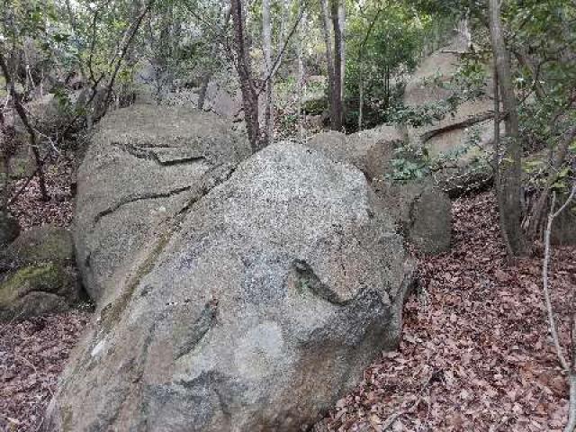 奈良県天理市石上町 八龍王八箇石 (｢大国見山｣山頂神祠)の写真4
