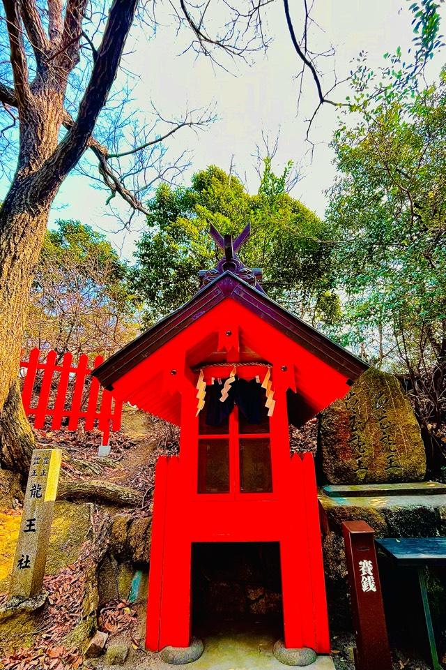 豊正豊玉龍王社(星田妙見宮境内)の参拝記録2