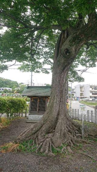 楠木神社の参拝記録(カジカジさん)