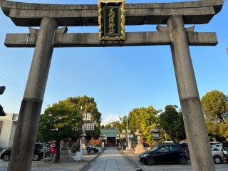 髙濵えびす神社(髙濵神社)の参拝記録(イッキーさん)