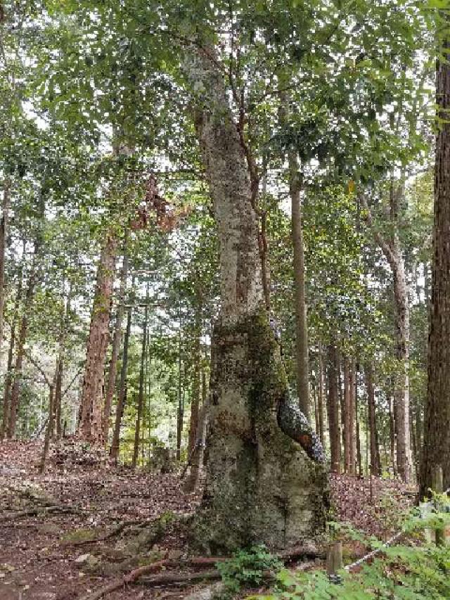 広島県東広島市八本松町原 小倉神社の写真8