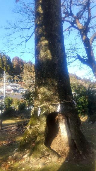 菅原神社（幸脇）の参拝記録(雪月さん)