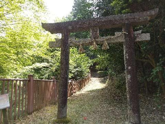 奈良県桜井市大字白河760 高山神社 (靇山池)の写真2