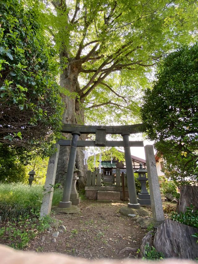 長野県塩尻市広丘吉田 鉾持神社の写真1