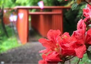 稲荷神社の参拝記録(ひでひでさん)