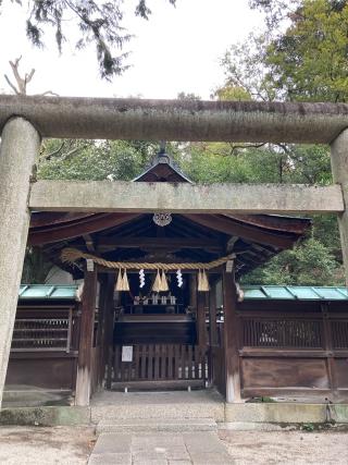 雨社(岡崎神社)の参拝記録(恭子さん)