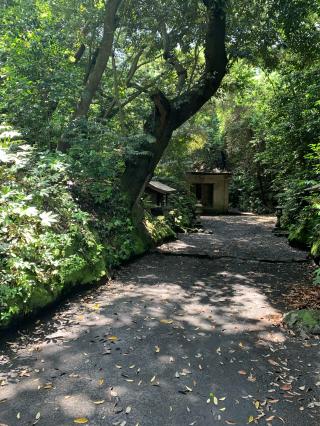 原五社神社の参拝記録(のっちさん)