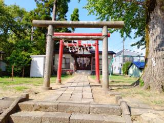 北土橋稲荷神社（猫又稲荷）の参拝記録(miyumikoさん)