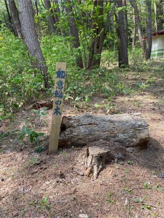 戸和田神社の参拝記録(カナさん)