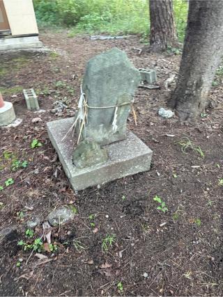 戸和田神社の参拝記録(コットンさん)