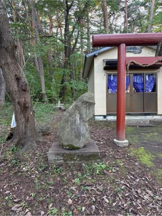 戸和田神社の参拝記録(コットンさん)