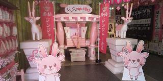 ジンジャー神社の参拝記録(優雅さん)