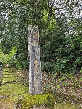 別山社(平泉寺白山神社境内社)の参拝記録(コスコスさん)
