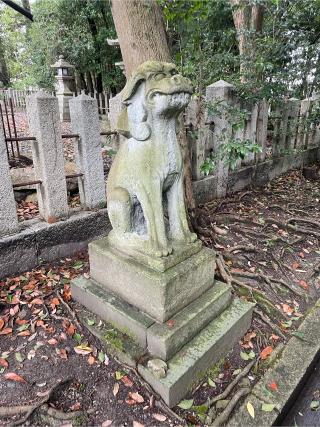 猿田彦神社(氣比神宮)の参拝記録(ハボタンはケールさん)