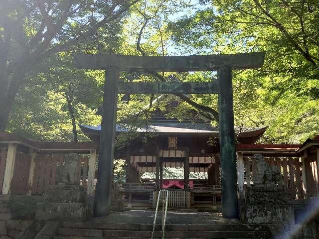 絹掛神社(金崎宮)の参拝記録1