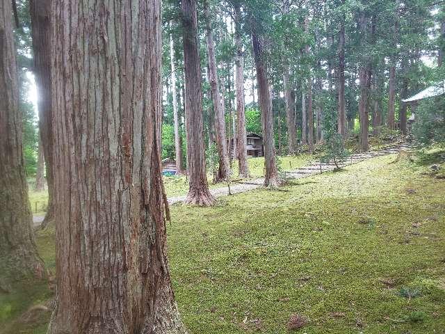 貴船神社(平泉寺白山神社境内社)の参拝記録1