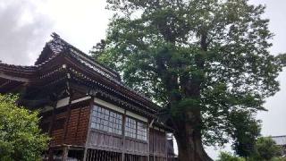日吉神社の参拝記録(レッドサンダーさん)