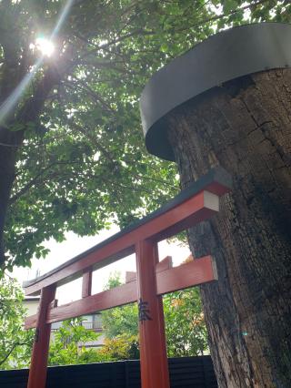 藤之森稲荷神社の参拝記録(shikigami_hさん)