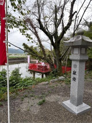 辨財天社(出雲大神宮末社)の参拝記録(⛩️🐍🐢まめ🐢🐍⛩️さん)