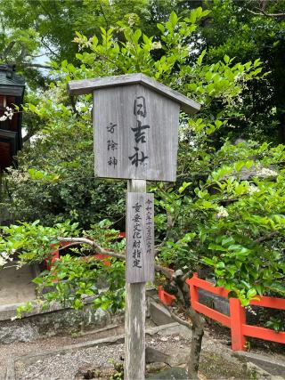 日吉社(八坂神社)の参拝記録(⛩️🐉🐢まめ🐢🐉⛩️さん)