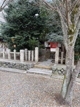 大杉社（桃山天満宮境内社）の参拝記録(⛩️🎠🐢まめ🐢🎠⛩️さん)