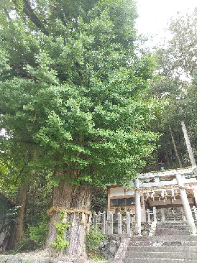 奈良県五條市西吉野町大日川71・72 丹生神社 (大日川)の写真1