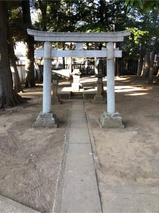 祖師谷神明社の参拝記録(こーちんさん)