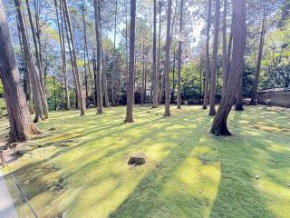 唐招提寺 開山御廟の参拝記録(いけさん)