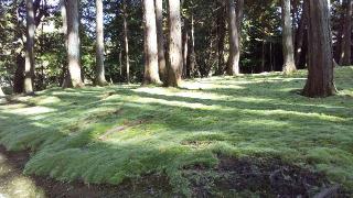 唐招提寺 開山御廟の参拝記録(ひろ神社仏閣さん)