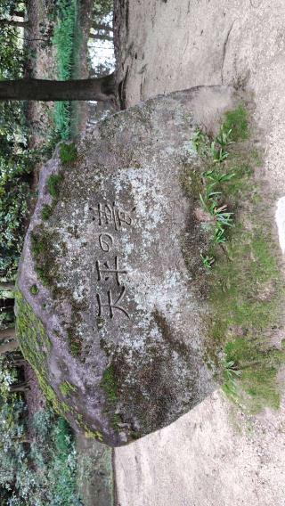 唐招提寺 開山御廟の参拝記録(伊平太さん)