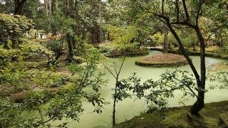 唐招提寺 開山御廟の参拝記録(伊平太さん)