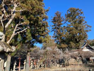 招魂社(氷室神社)の参拝記録(恭子さん)