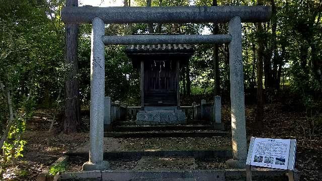除虫菊神社の参拝記録(まほろばさん)