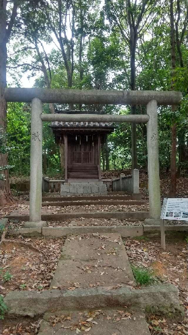 除虫菊神社の参拝記録1