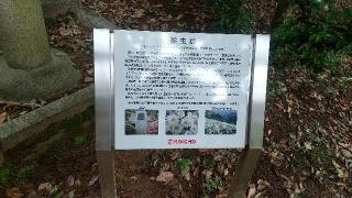 除虫菊神社の参拝記録( いなりんさん)