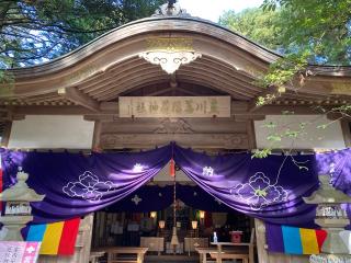 豊川茜稻荷神社（茜社）の参拝記録(恭子さん)