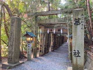 豊川茜稻荷神社（茜社）の参拝記録(恭子さん)
