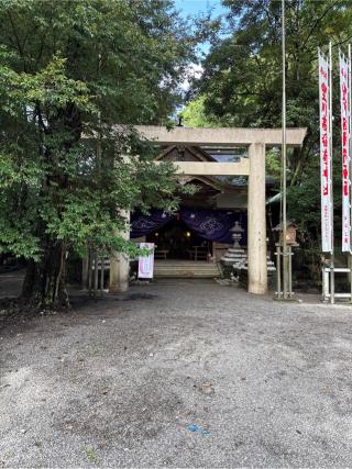豊川茜稻荷神社（茜社）の参拝記録(⛩️🐍🐢まめ🐢🐍⛩️さん)