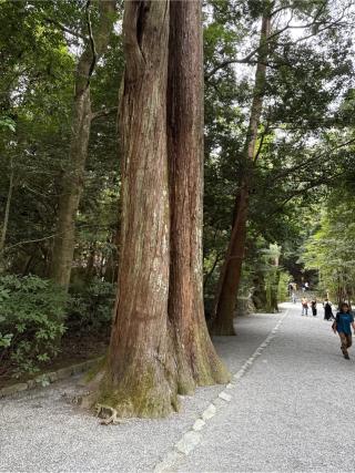 亀石(伊勢神宮外宮)の参拝記録(⛩️🐍🐢まめ🐢🐍⛩️さん)