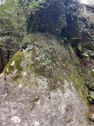 籾だね石(内宮)の参拝記録(⛩️🐍🐢まめ🐢🐍⛩️さん)